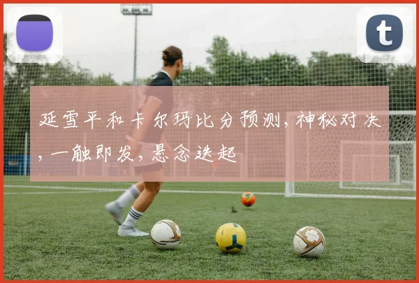 延雪平和卡尔玛比分预测,神秘对决,一触即发,悬念迭起