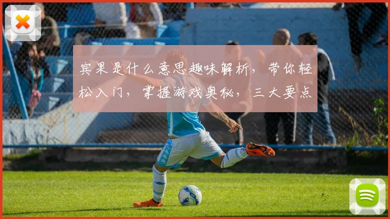 宾果是什么意思趣味解析，带你轻松入门，掌握游戏奥秘，三大要点必看