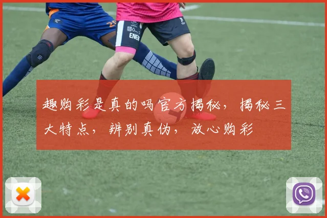 趣购彩是真的吗官方揭秘，揭秘三大特点，辨别真伪，放心购彩