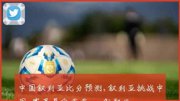 中国叙利亚比分预测,叙利亚挑战中国,赛果悬念重重,一触即发