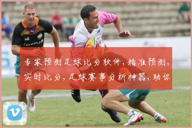 专家预测足球比分软件,精准预测,实时比分,足球赛事分析神器,助你一臂之力,洞察球场风云。