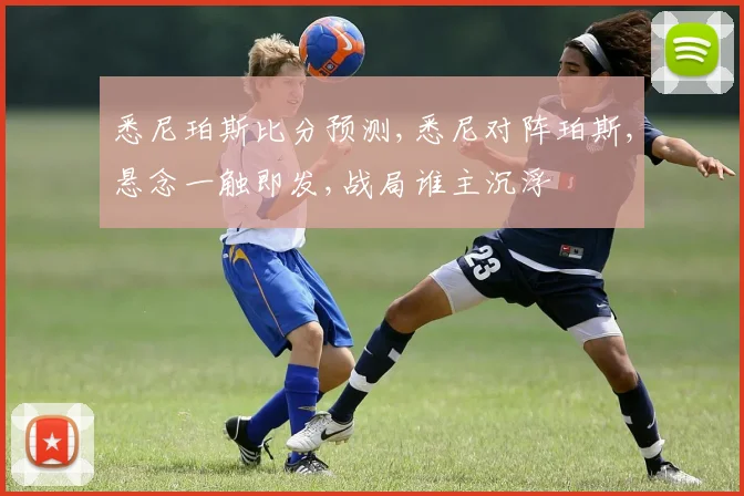 悉尼珀斯比分预测,悉尼对阵珀斯,悬念一触即发,战局谁主沉浮